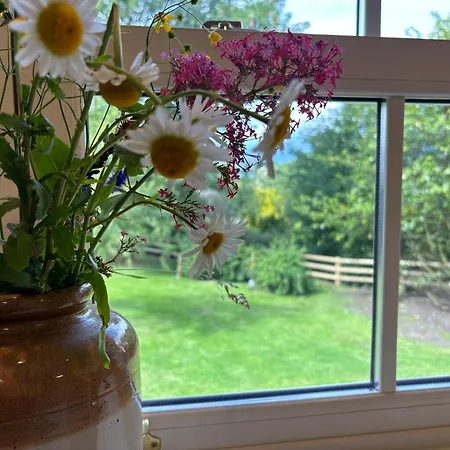 Дом отдыха Ladyrath *