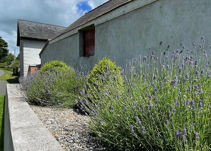 Ladyrath Casa vacanze *